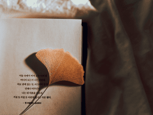 Book with a booklet